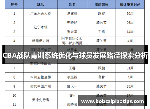 CBA战队青训系统优化与球员发展路径探索分析