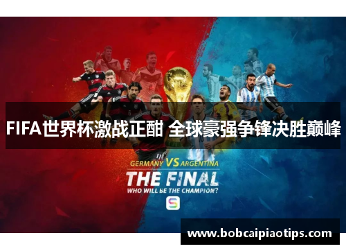 FIFA世界杯激战正酣 全球豪强争锋决胜巅峰