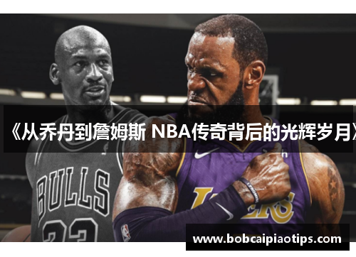 《从乔丹到詹姆斯 NBA传奇背后的光辉岁月》