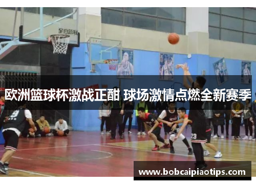 欧洲篮球杯激战正酣 球场激情点燃全新赛季