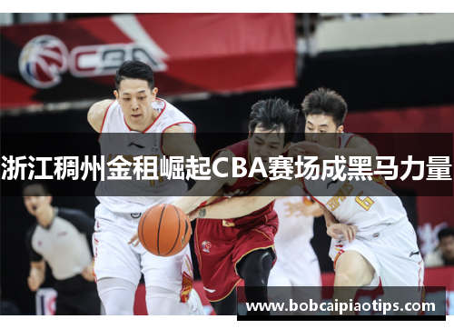 浙江稠州金租崛起CBA赛场成黑马力量