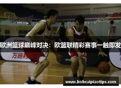 欧洲篮球巅峰对决：欧篮联精彩赛事一触即发