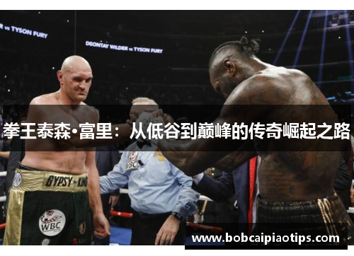 拳王泰森·富里：从低谷到巅峰的传奇崛起之路