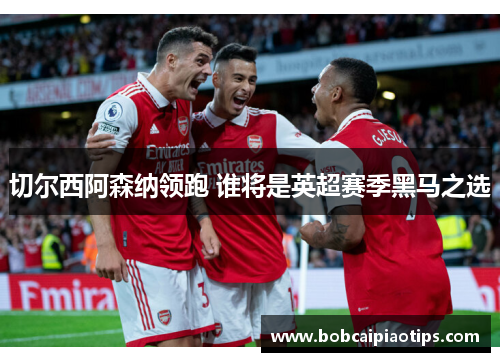 切尔西阿森纳领跑 谁将是英超赛季黑马之选