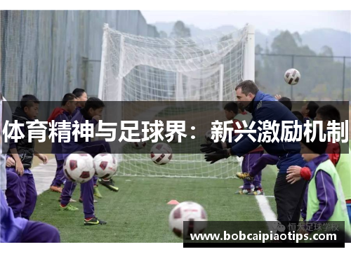 体育精神与足球界：新兴激励机制