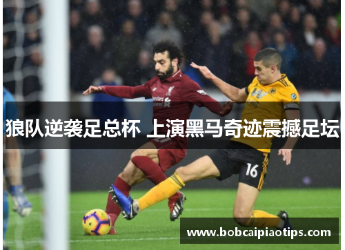 狼队逆袭足总杯 上演黑马奇迹震撼足坛